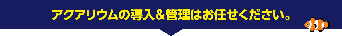 水槽メンテナンスはお任せください